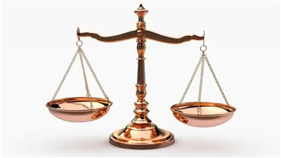 إحالة أوراق المتهم بقتل خالته بالإسماعيلية إلى مفتي الجمهورية