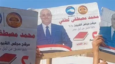 بالطبل البلدي.. مسيرة حاشدة بمنيا القمح لدعم محمد مصطفى بانتخابات الشيوخ 