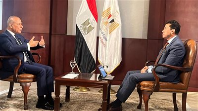 وزير الشباب والرياضة: الدولة تخدم الشعب وتراقب الأندية بكل حزم | فيديو