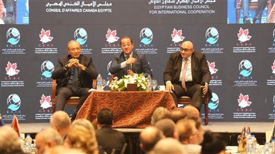 وزير المالية: حزمة جديدة من التسهيلات فى الجمارك والضرائب العقارية 