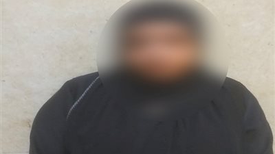 حولي فلوس على المحفظة.. القبض على سيدة تروج لأعمال منافية للآداب عبر الإنترنت