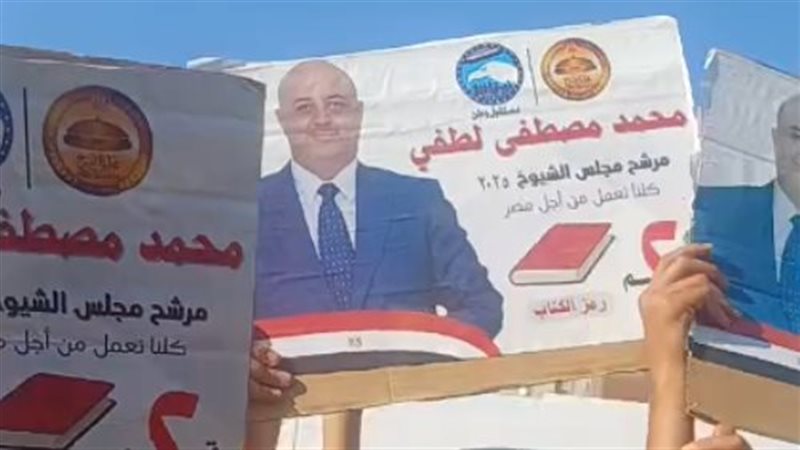 محمد مصطفى لطفي
