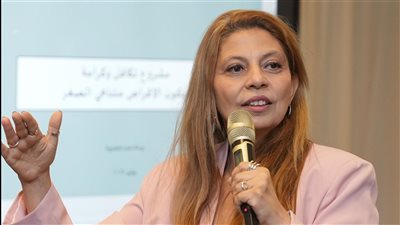 صندوق دعم الصناعات الريفية ينظم ورشة العمل الاستطلاعية الأولى لمؤسسات التمويل 