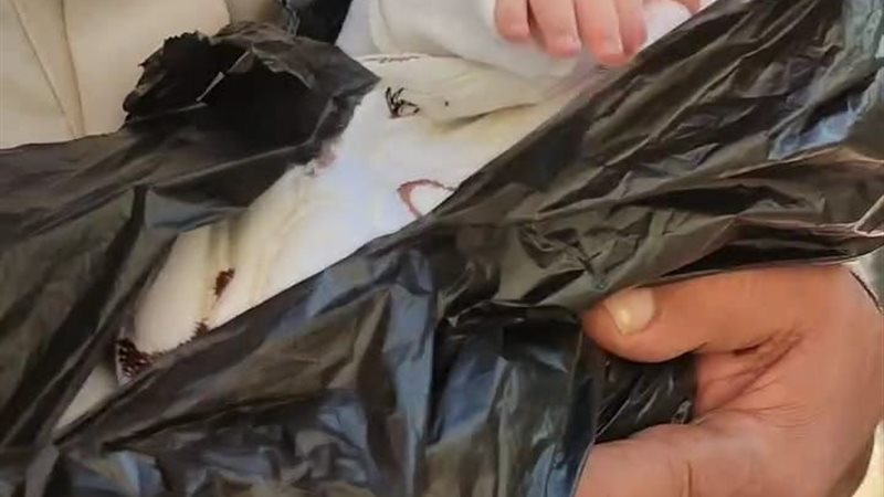 الطفل الرضيع