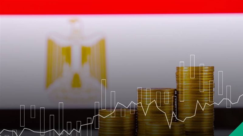 الاستثمارات المحلية