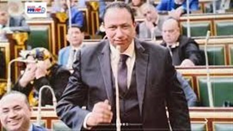 النائب عبدالحميد