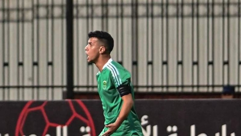 فوزي الحناوي