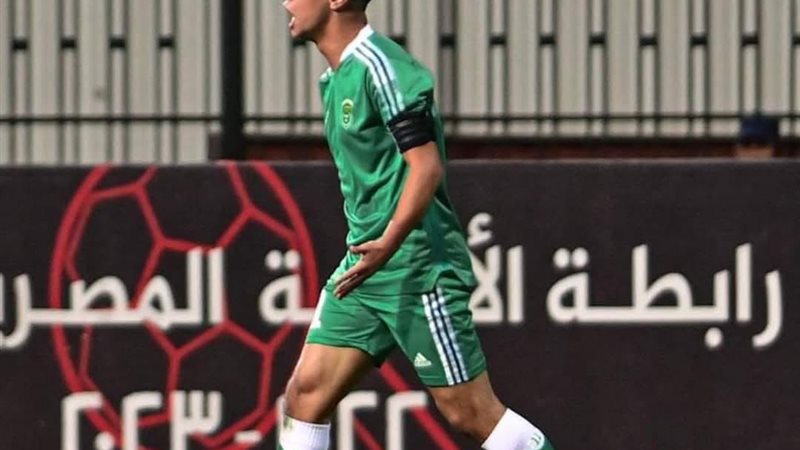 فوزي الحناوي