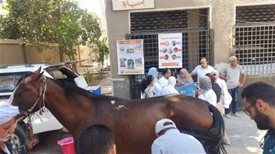 «الخدمات البيطرية» تنفذ حزمة أنشطة تدريبية بالتعاون مع مستشفى بروك الخيري