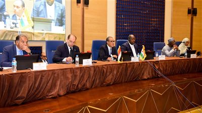 وزير الخارجية يقتتح منتدى الأعمال المصري النيجري الأول