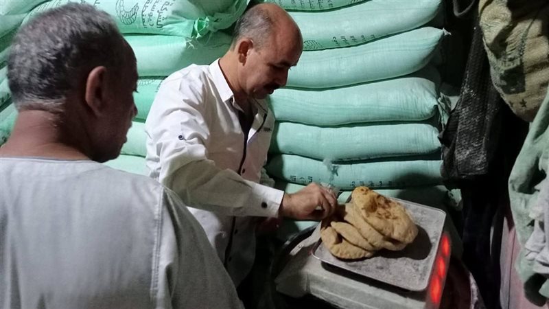 تموين المنيا