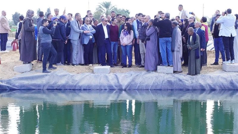 محافظة المنيا