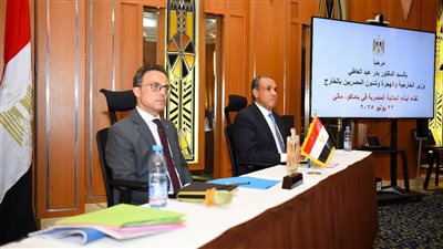 وزير الخارجية يستهل جولته الأفريقية بزيارة مالي ولقاء مع الجالية المصرية 