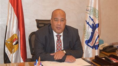 العشري: مصر والسعودية جناحا الأمة العربية.. والتحالف أقوى من محاولات التشويش 