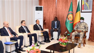 وزير الخارجية يؤكد لرئيس مالي حرص مصر على تقديم كافة أوجه الدعم الفني والمؤسسي