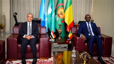 وزير الخارجية يناقش تعزيز العلاقات الثنائية مع نطيره المالى 