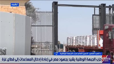 السيد القصير: 