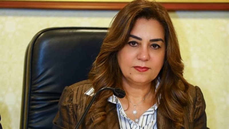 وزيرة اتنمية المحلية