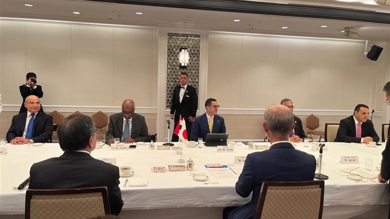 وزير الاستثمار