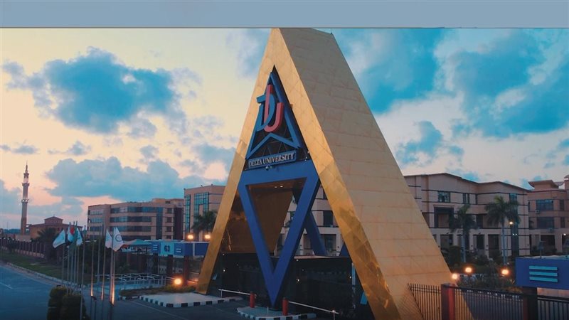 جامعة الدلتا