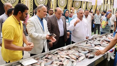 تصل لـ  40% .. انطلاق النسخة الخامسة من مبادرة تخفيض الأسماك بالتل الكبير