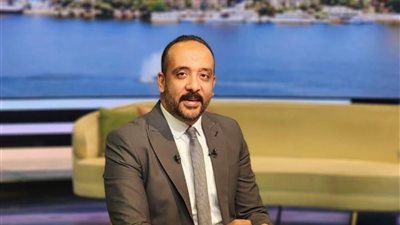 أحمد حمدي: مصر ستبقى درعًا وسندًا للقضية الفلسطينية