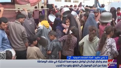 أستاذ علاقات دولية: مصر الوحيدة التي دافعت عن فلسطين في عُقر دار إسرائيل