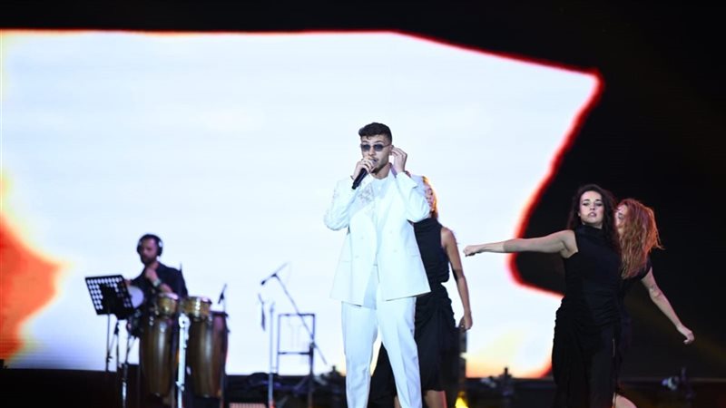 الشامي