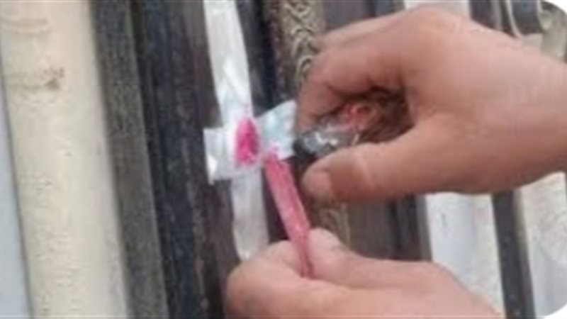 صحة البحيرة