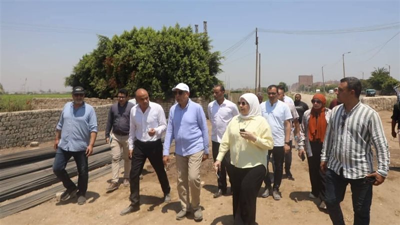 محافظ المنيا