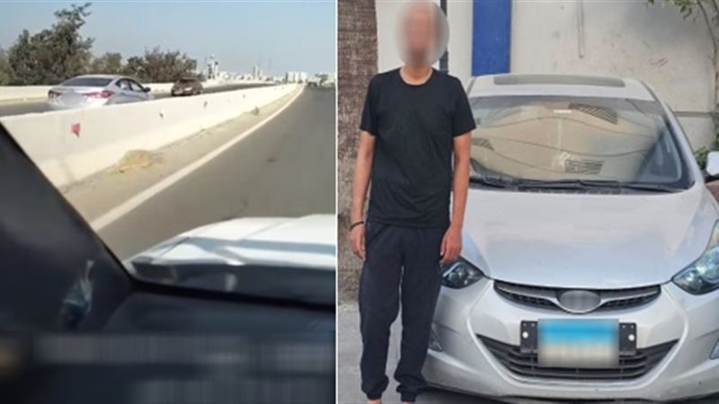 السائق والسيارة