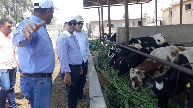 رئيس مركز البحوث