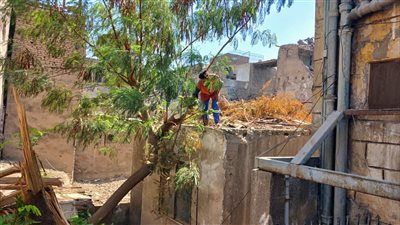 محافظ القاهرة: بدء حملة لنظافة الأسطح بحي وسط القاهرة 