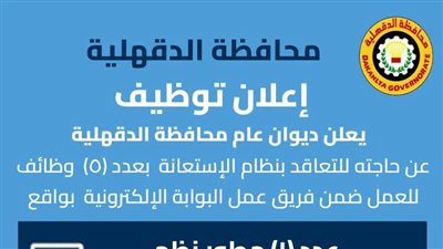 محافظة الدقهلية تطلق منصة إلكترونية جديدة لتوفير آلاف فرص العمل للشباب