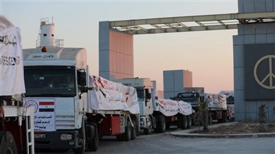 وزيرة التضامن الاجتماعي : 570 ألف طن مساعدات دخلت غزة الفترة الماضية