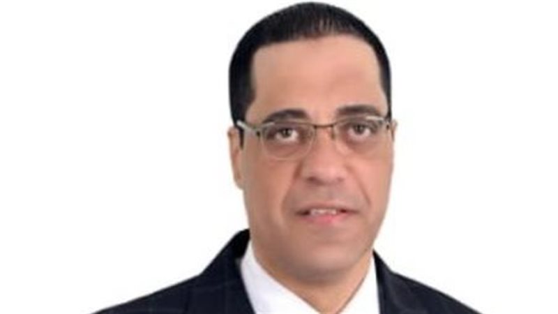 المستشار محمد حسن