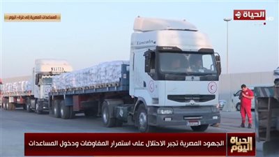 طارق فهمي: غياب الإرادة السياسية يعرقل اتفاق غزة والمفاوضات توقفت فجأة