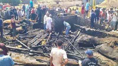 السيطرة على حريق بحظيرة مواشي في البحيرة دون إصابات بشرية
