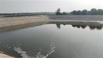 مديريتا الزراعة والري بالإسماعيلية تنجحان في حل أزمة نقص مياه الري بـ«الأمل»