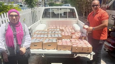 حملة تموينية مكبرة في بورسعيد تضبط منتجات غذائية فاسدة تهدد صحة المواطنين