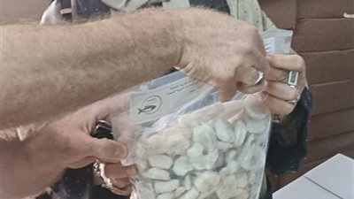 محافظ الجيزة: ضبط 11 طنًّا و500 كجم من مصنّعات وهياكل دواجن فاسدة