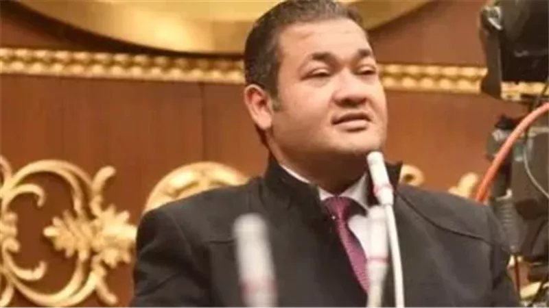 النائب الدكتور محمد