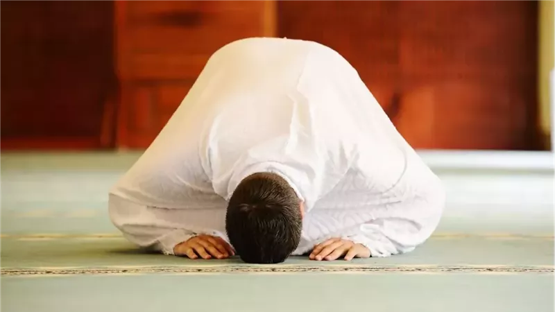 ارشيفية