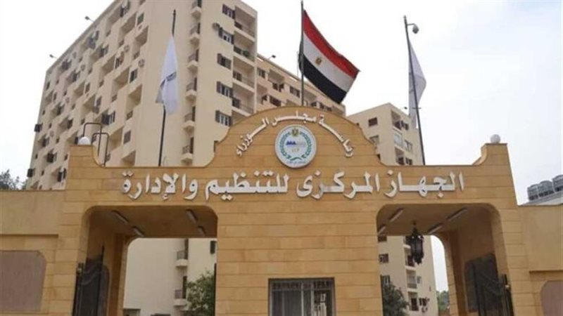 التنظيم والإدارة