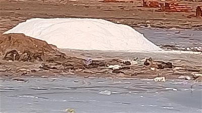 ملاحات دمياط.. كنوز بيضاء في قلب شطا تحمل الخير والصحة والرزق