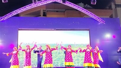 تحت رعاية قصور الثقافة.. تراث الشرقية يزين ليالي 