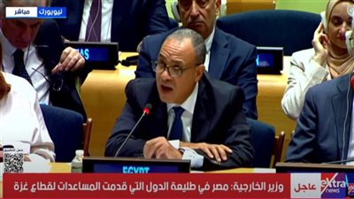 وزير الخارجية: مصر في طليعة الدول التي قدمت المساعدات لقطاع غزة