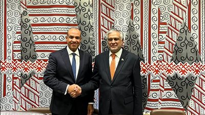 القاهرة وإسلام آباد تتفقان على تعزيز التعاون في الصحة والصناعات الدوائية