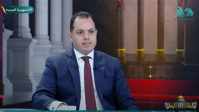 أحمد فوزي: ترشحي لمجلس الشيوخ نموذج لتمكين الشباب الحقيقي في عهد السيسي