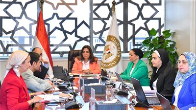 وزيرة التنمية تبحث الموقف الحالي للتعاون مع شركاء التنمية والمشروعات البيئية 